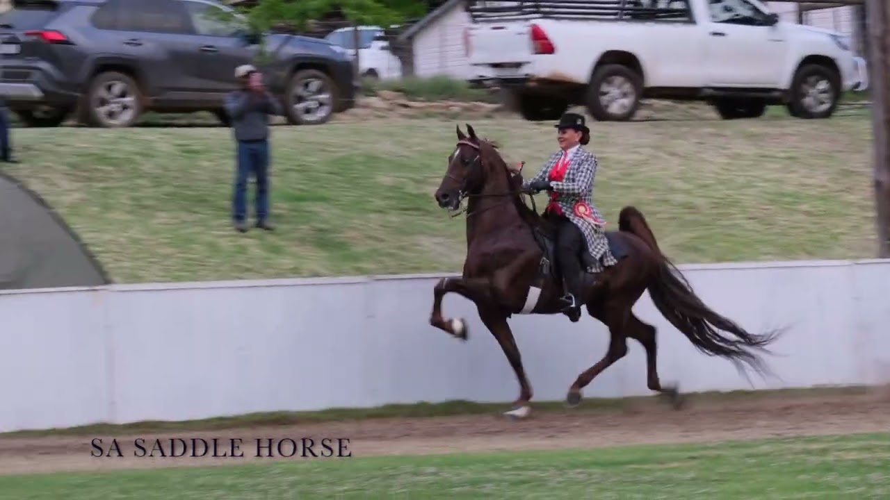 Koekie de Villiers and On Cloud Nine - Uniondale Show 5 Gaited Champion