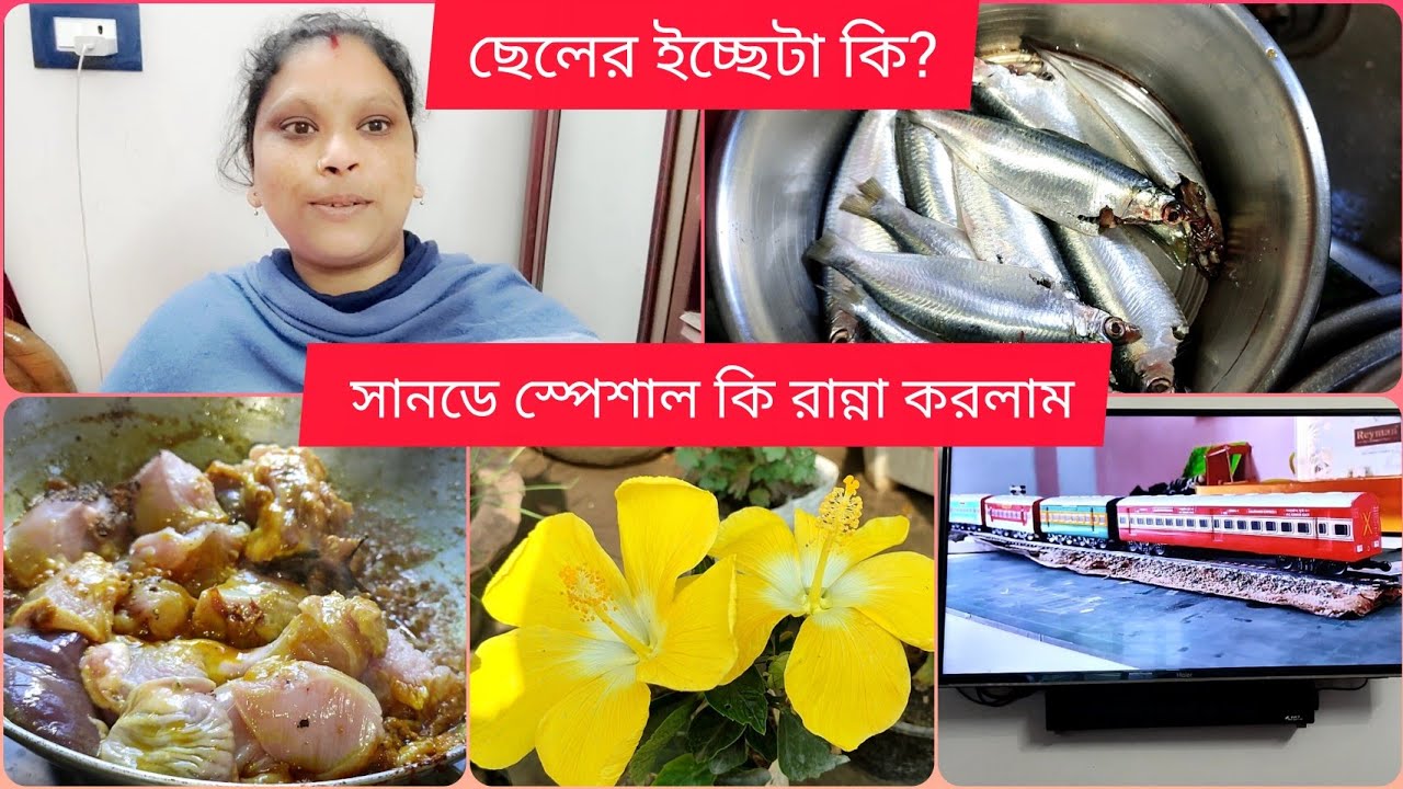 সানডে স্পেশাল কি রান্না হলো || ছেলের ধ্যান-জ্ঞান শুধু ট্রেন আর ওর ইচ্ছা কি জানো ||