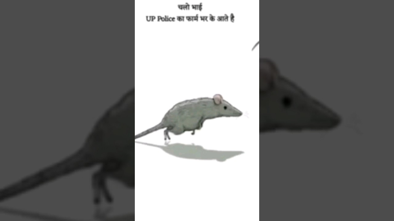 up police constable recruitment 