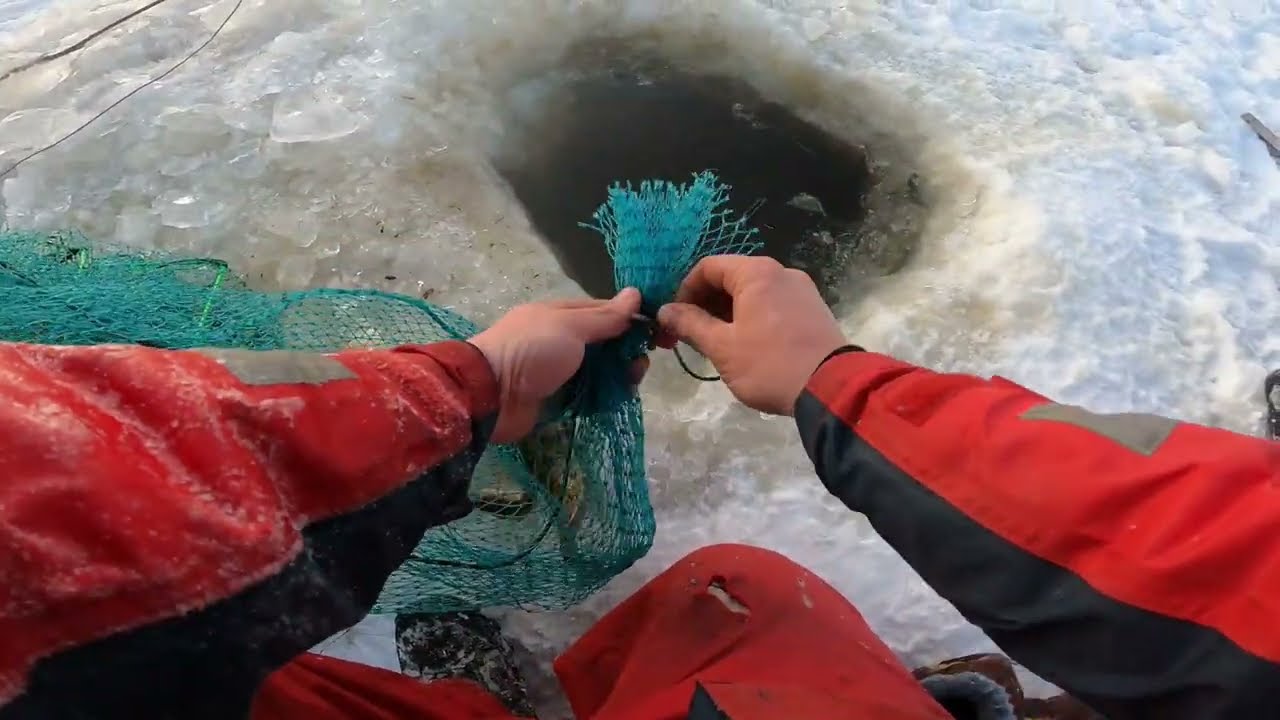 Kalatupien koenta -25 pakkasessa #made#kalatupa#talvikalastusta