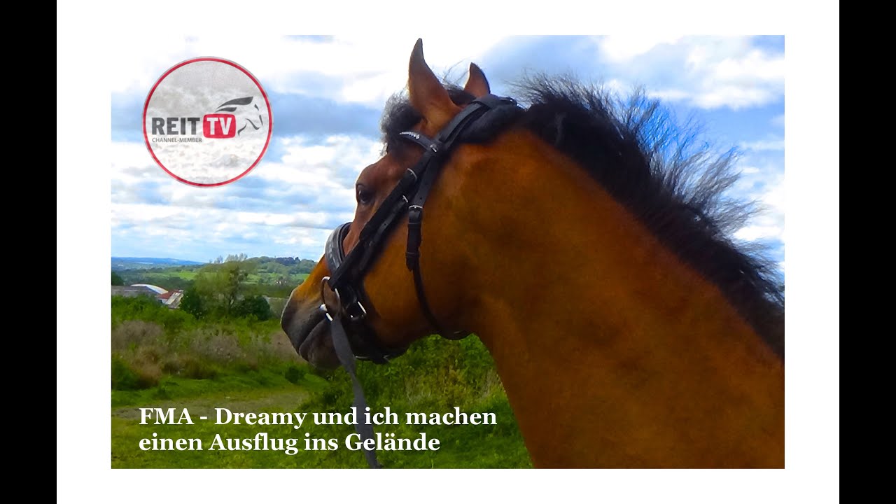 Follow Me Around (FMA) Dreamy macht einen Ausflug ins Gelände - REITTV