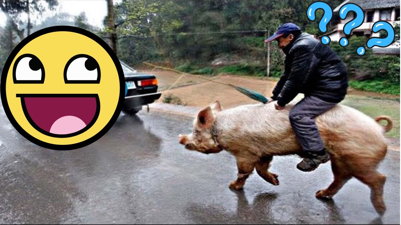 Compilaci&oacute;n de Ca&iacute;das Graciosas 2024 🔥| Los Mejores Bloopers y Fails 😂 V9