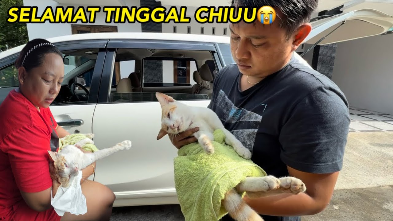 SELAMAT TINGGAL CHIUU😭