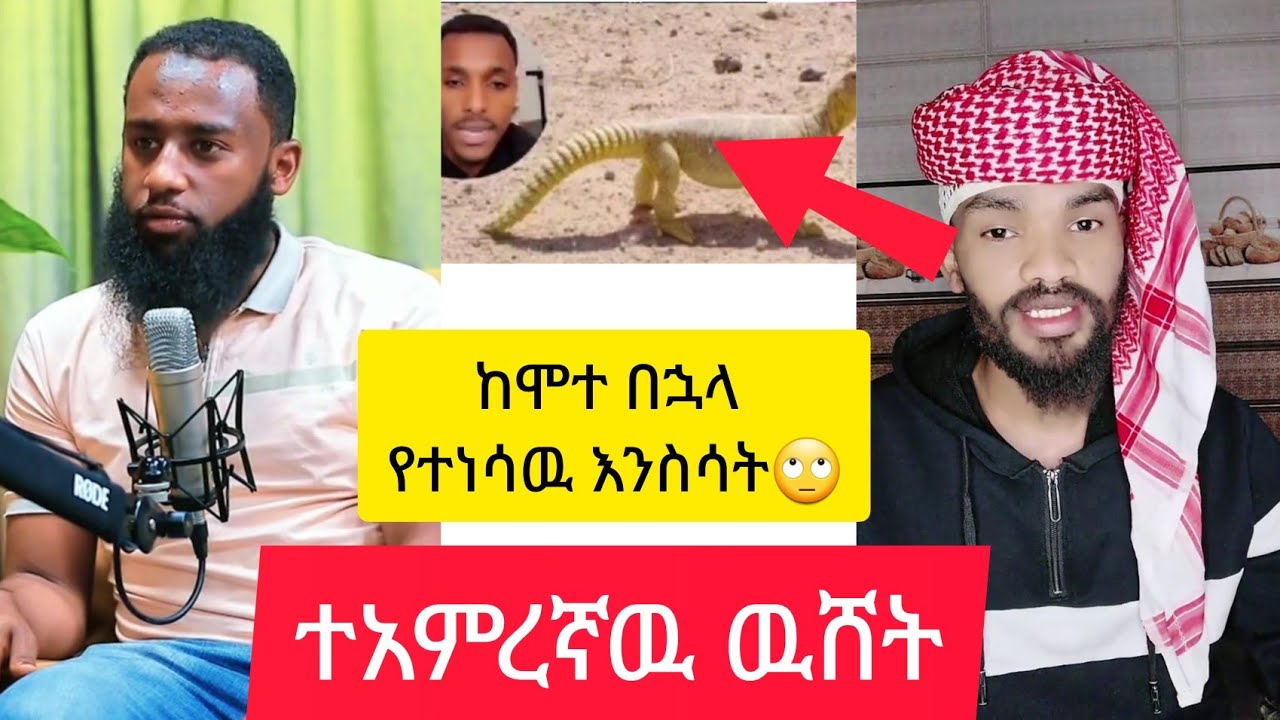 የሞተዉ እንስሳት  በህይዎት ተነሳ🤭 