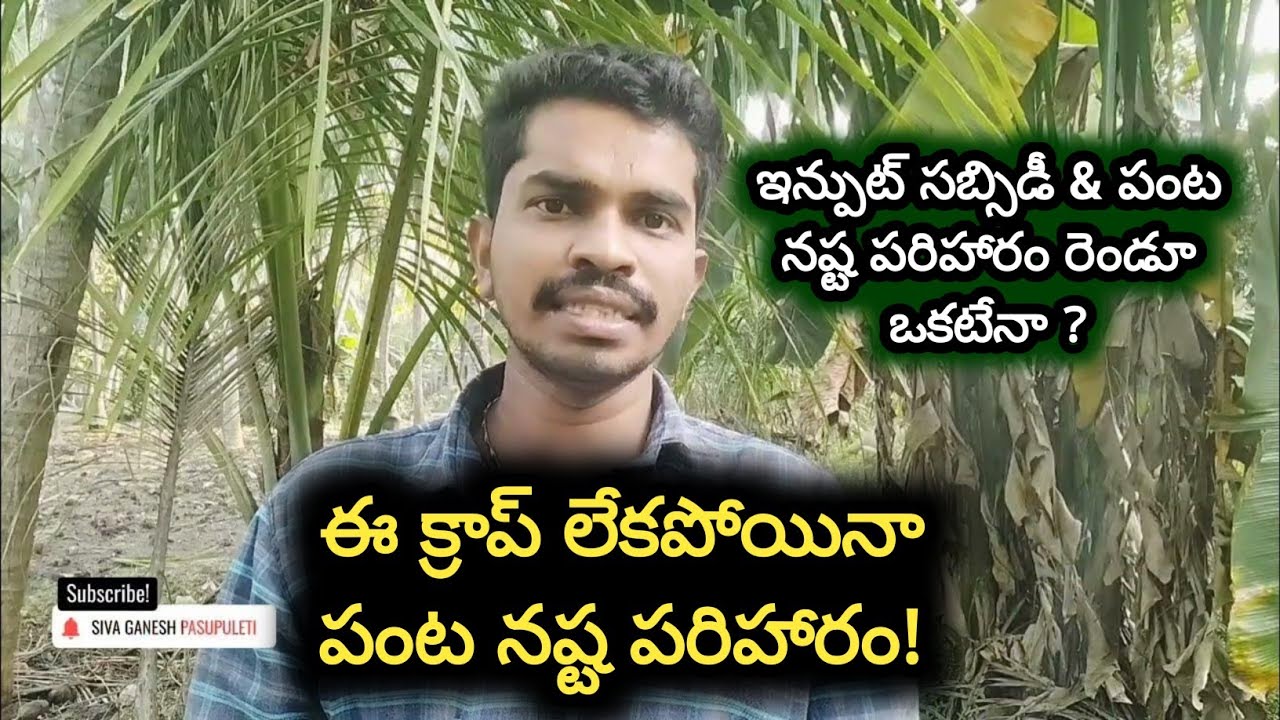 Input Subsidy for AP Farmers 2023 - E Crop లేకపోయినా Panta Nasta Pariharam || Siva Ganesh