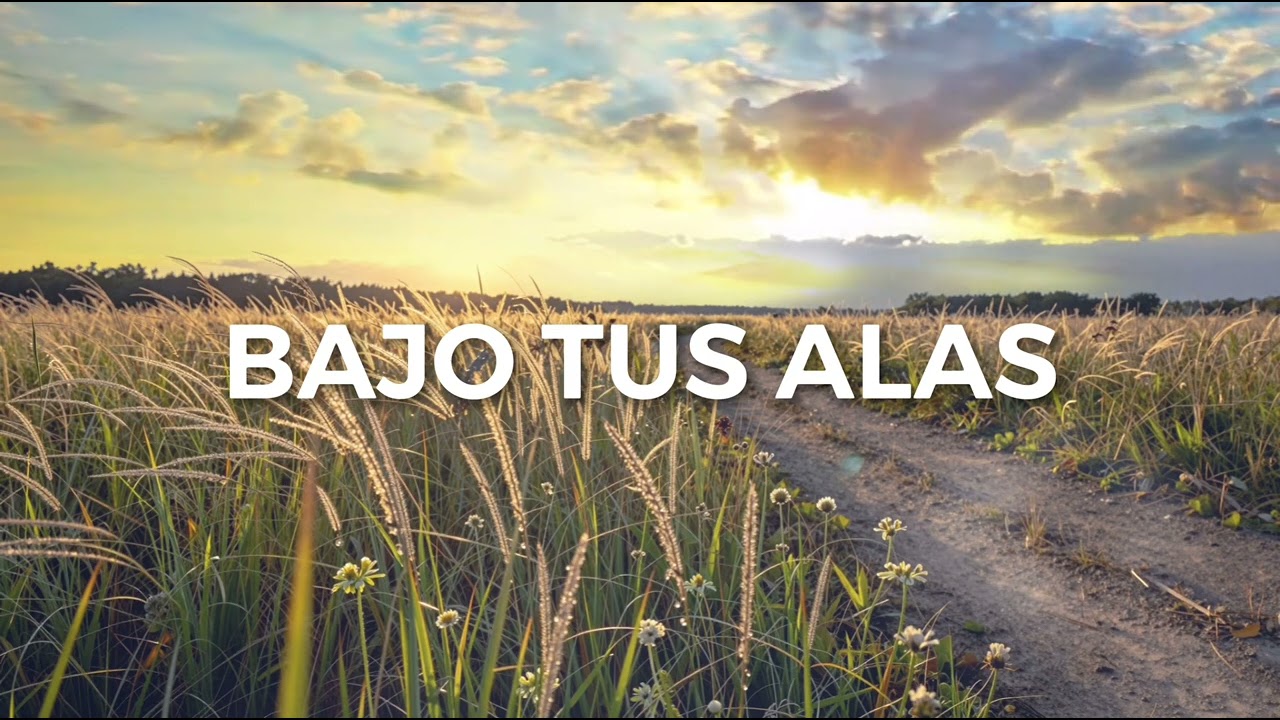 BAJO TUS ALAS / Agape Adoración 