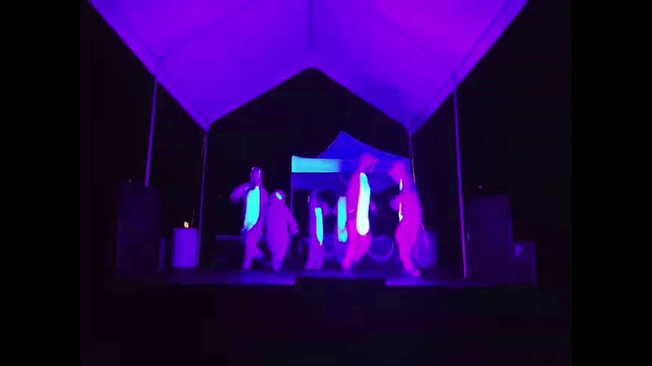 Pink Elephants on Parade Glow in the dark dance