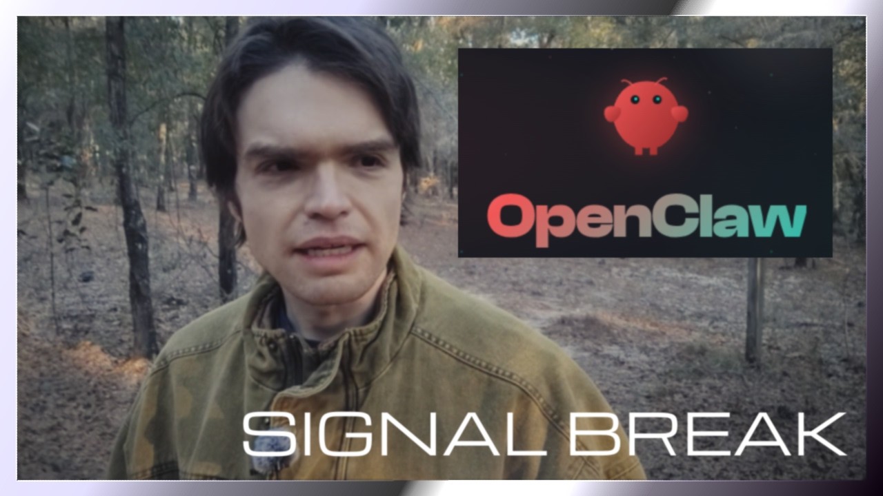 Thoughts on OpenClaw and Moltbook