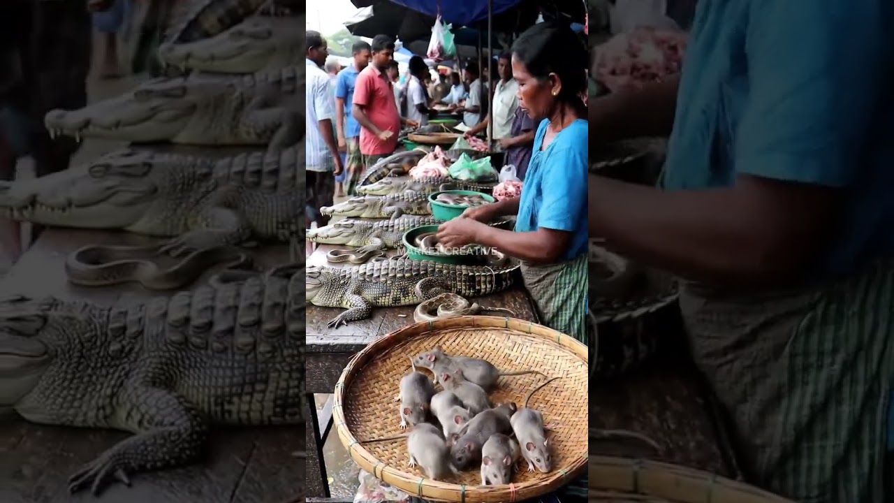Wild Market: Snakes & Rats@farhanefendi-ai
