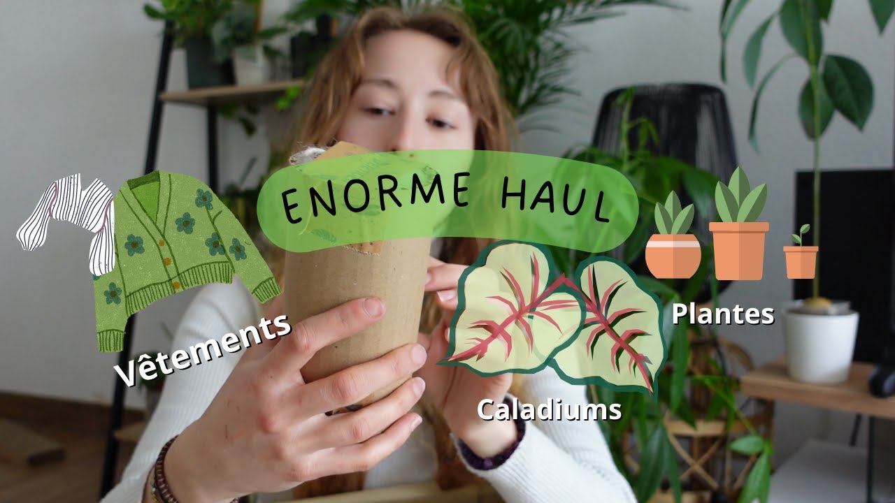 ENORME HAUL | VINTED, JAPHY, VERTIGEA, CALADIUMSHOP