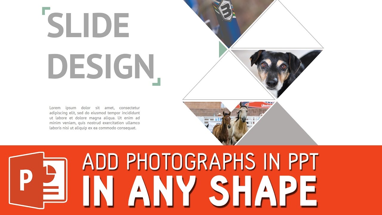 Crop and add photohraphs in powerpoint slide in any shape you want | Powerpoint template tutorial