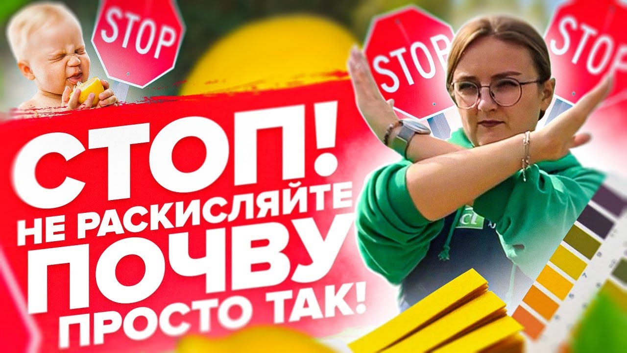 НЕ ТОРОПИТЕСЬ ВНОСИТЬ ДОЛОМИТОВУЮ МУКУ! Что такое кислотность почвы и как определить рН