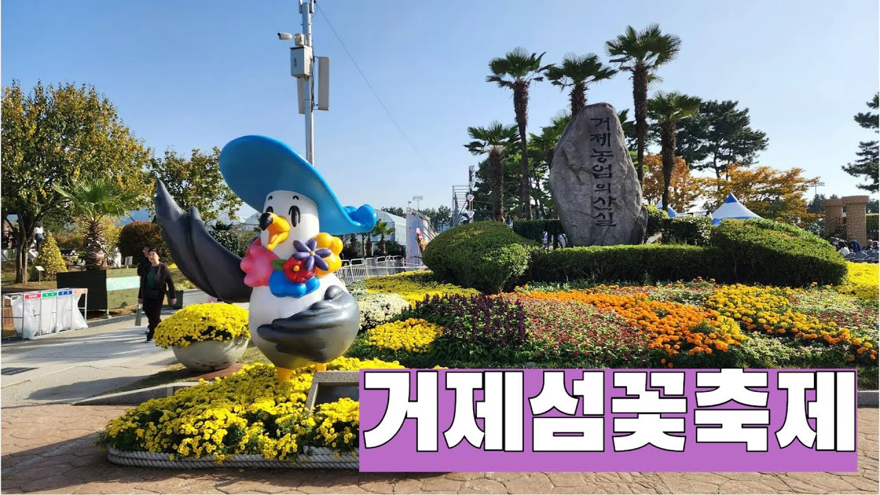 거제섬꽃축제 2025. 가덕해저터널 지나 만난 가을 정원에서의 하루