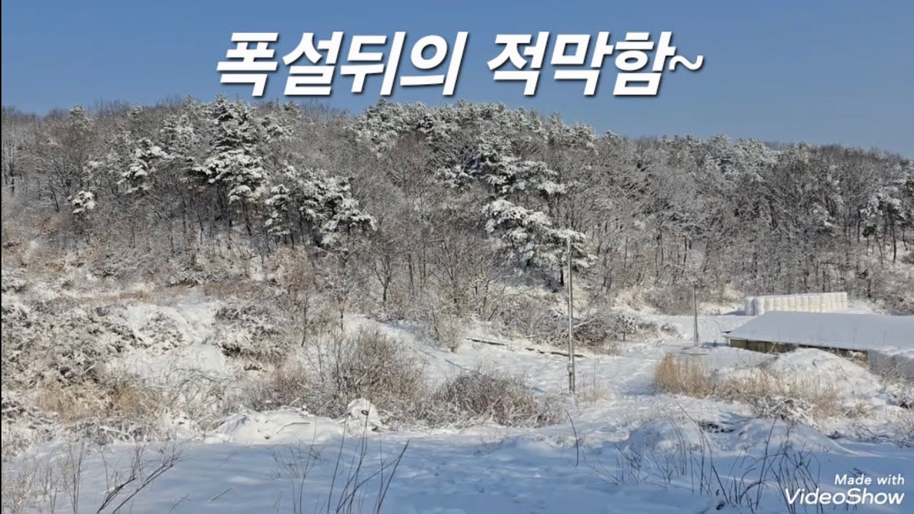 #눈밭 