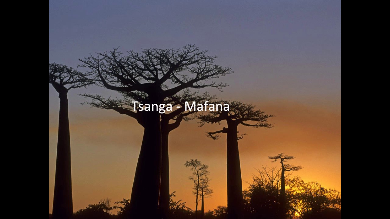 Tsanga - Mafana