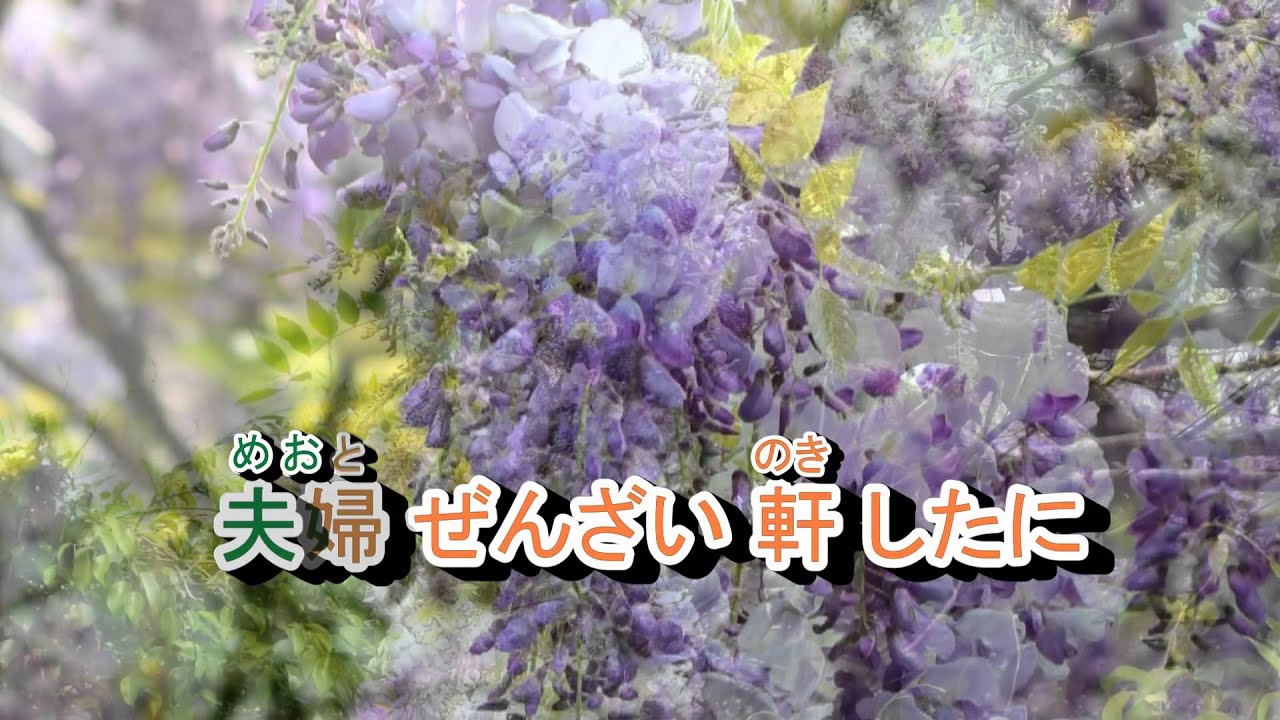 01-012  お百度こいさん**求愛的條件  音緣 43218 金嗓 40432