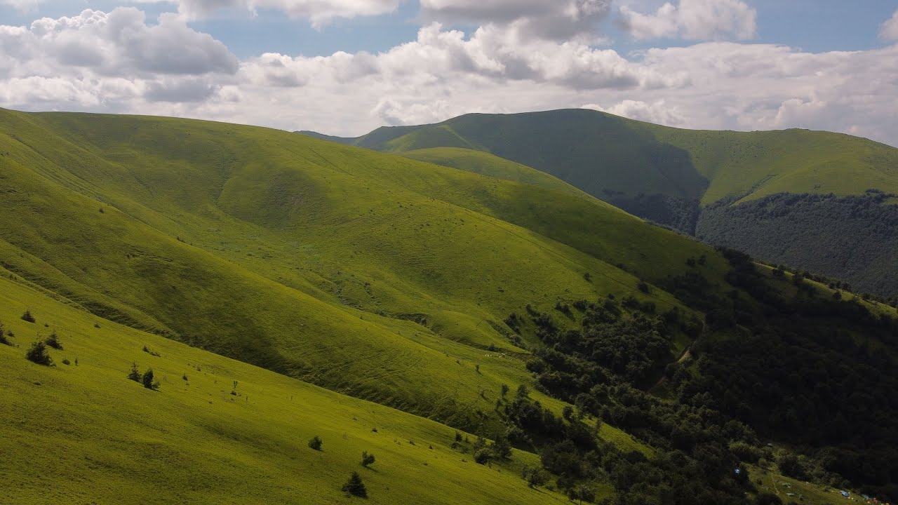 Summer in the Carpathians