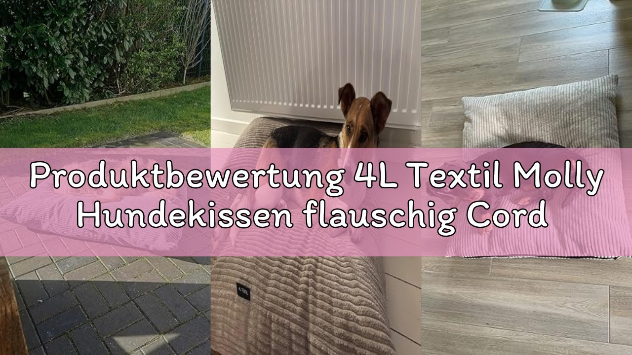 Produktbewertung 4L Textil Molly Hundekissen flauschig Cord Hundebett Grosse Hunde mit Bezug und Rei