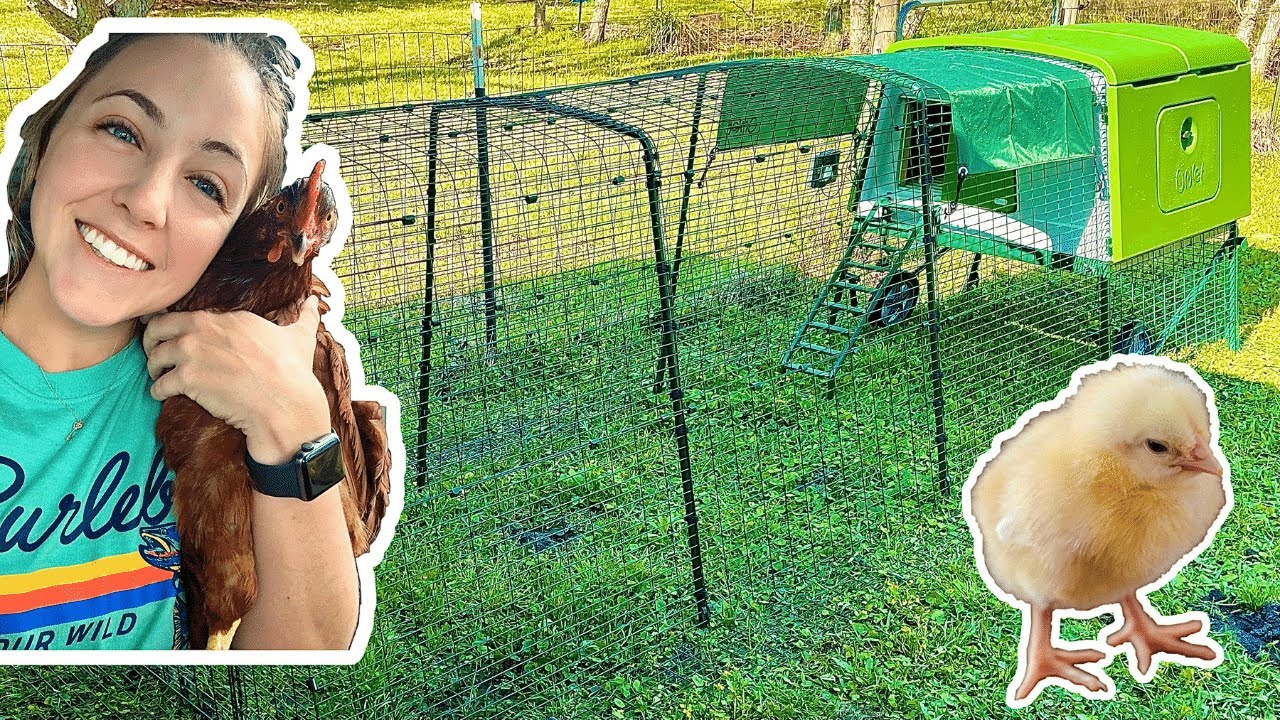 Unboxing and Assembling my Omlet Eglu Cube Chicken Coop | Getting Ready for My Chickens!!