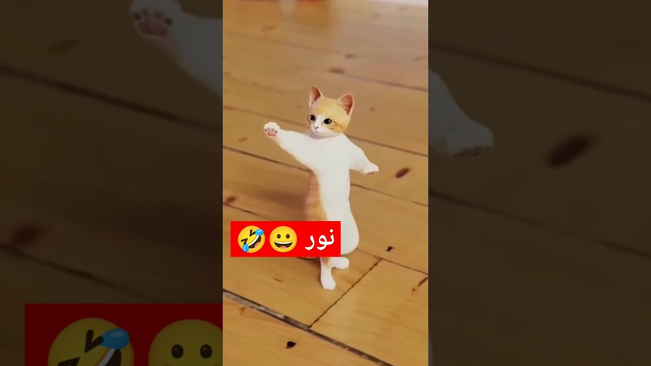 الاكتر طلبا..نور