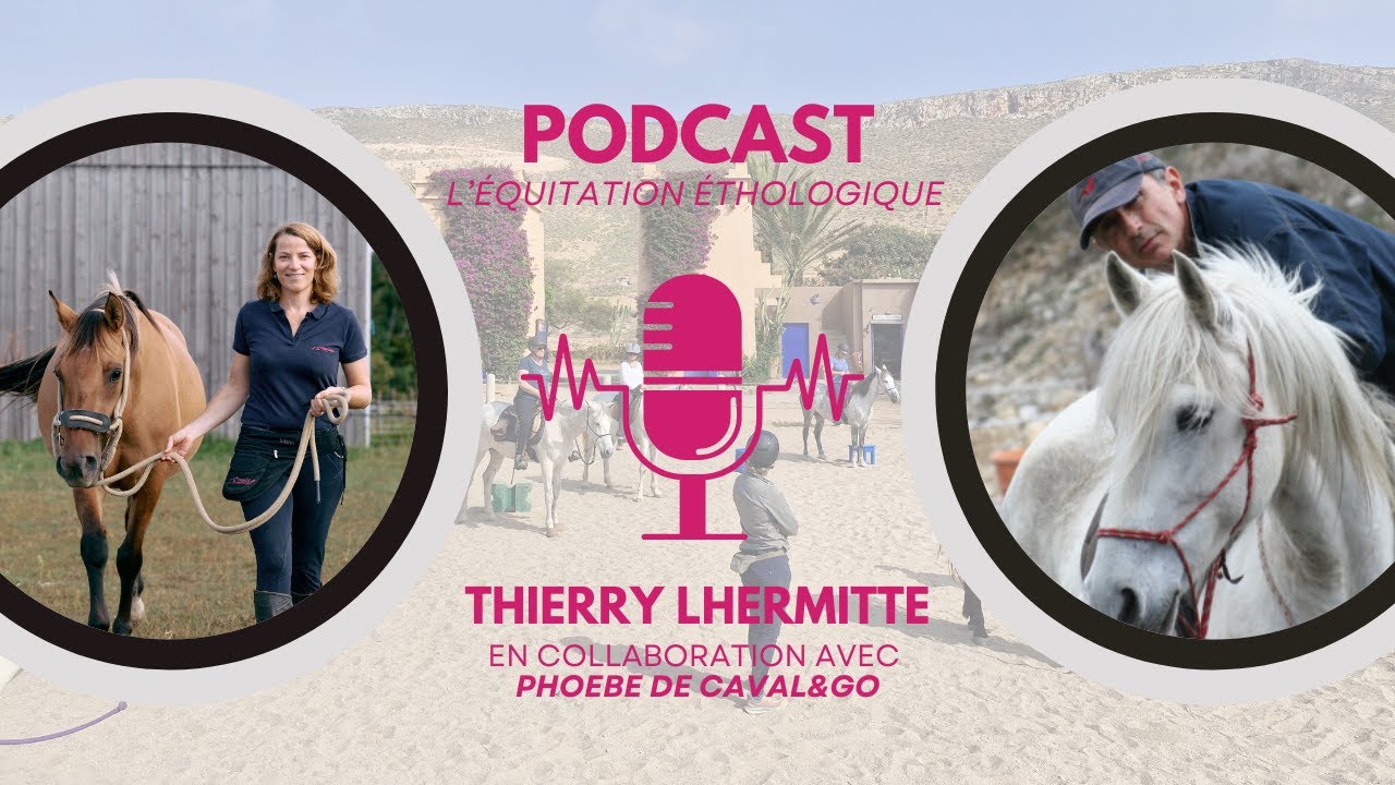 🎧 Dans la tête d’un homme de cheval | Thierry Lhermitte & l’équitation éthologique au Maroc 🧠🐴