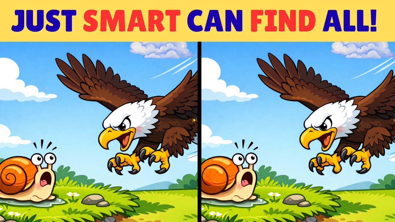 Can You Find | Spot the difference | Puzzle games | Find the difference | #898