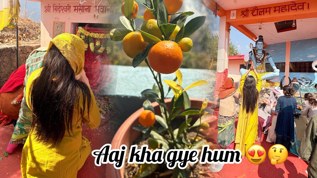 Aaj Maha Shivaratri m kha gye hm 🤔 wha ja k kiya khub dance  #mahashivratri #vlog @rashmipingal2587 