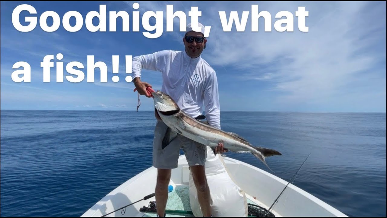 Frying Pan Tower…  TWO Huge Cobia!!