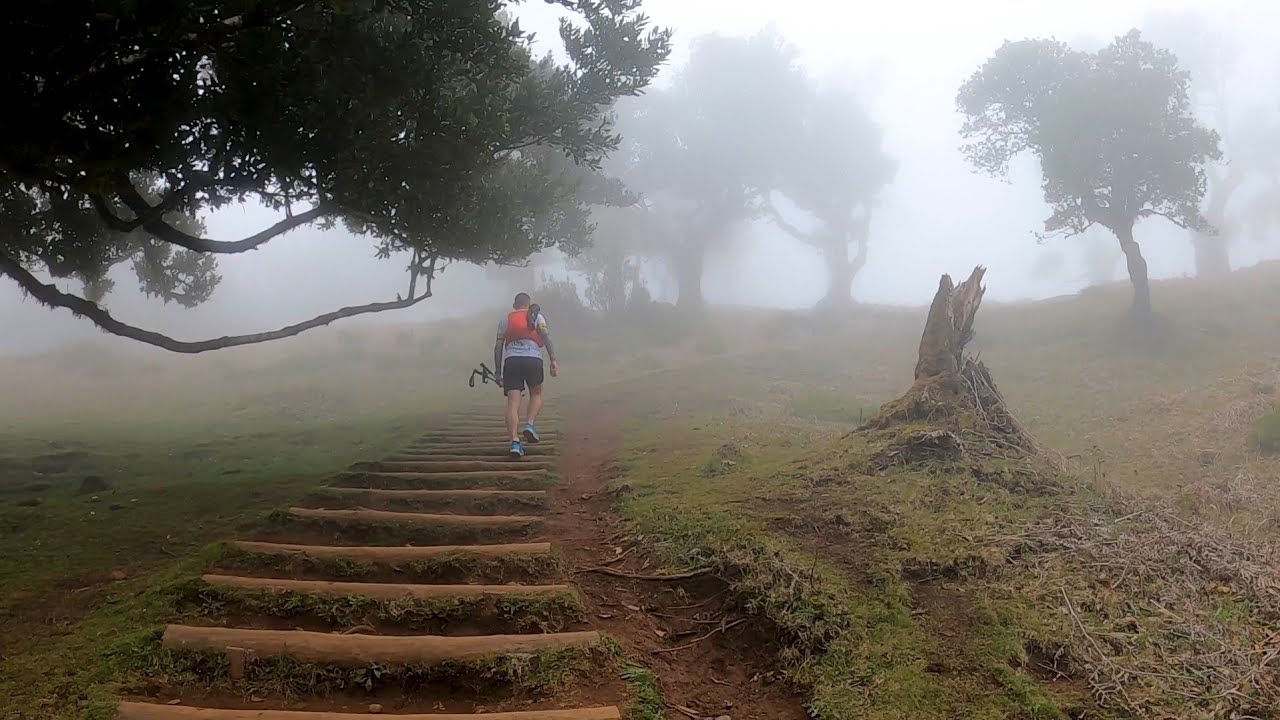 Stairway to infinity - Madeira