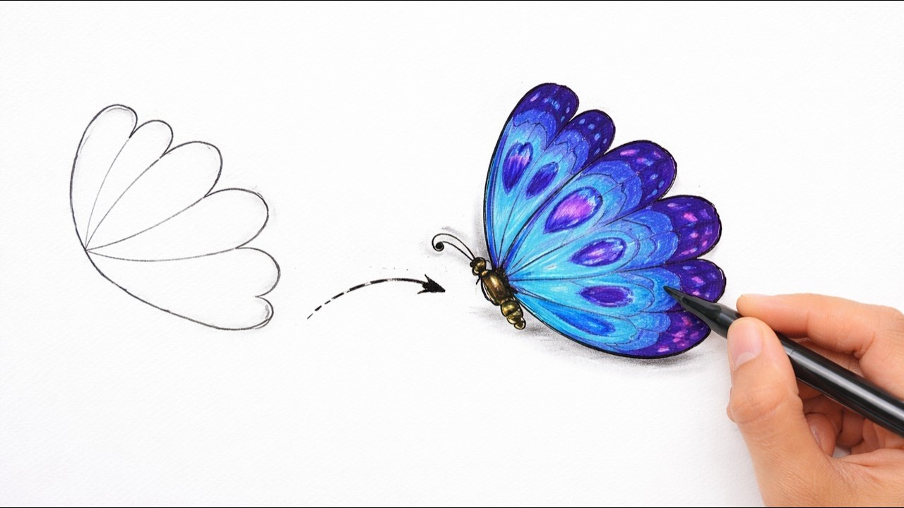 Perfect Butterfly Drawing for Beginners - No Experience Needed!
