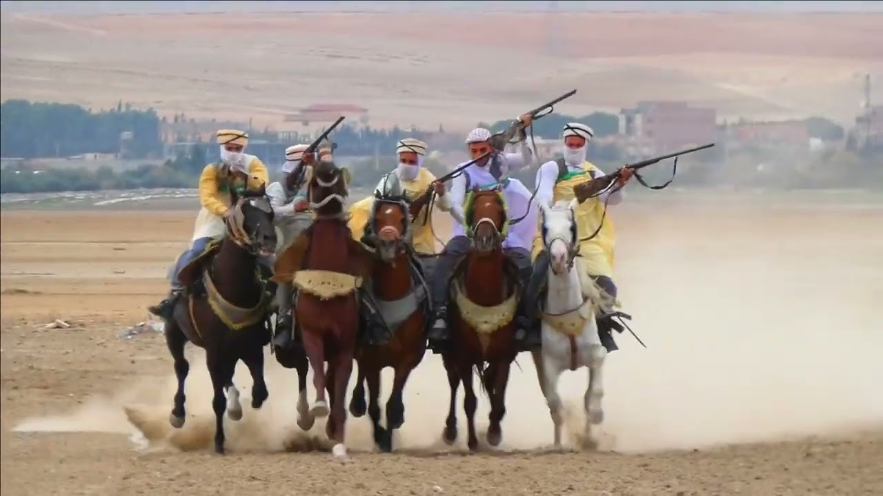 فرسان سطيف ما شاء الله