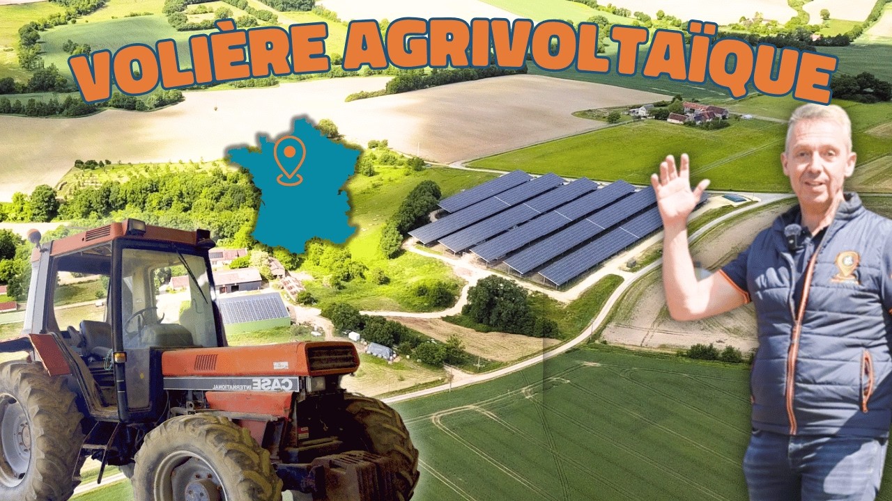 Agrivoltaïque et élevage avicole : le duo gagnant !