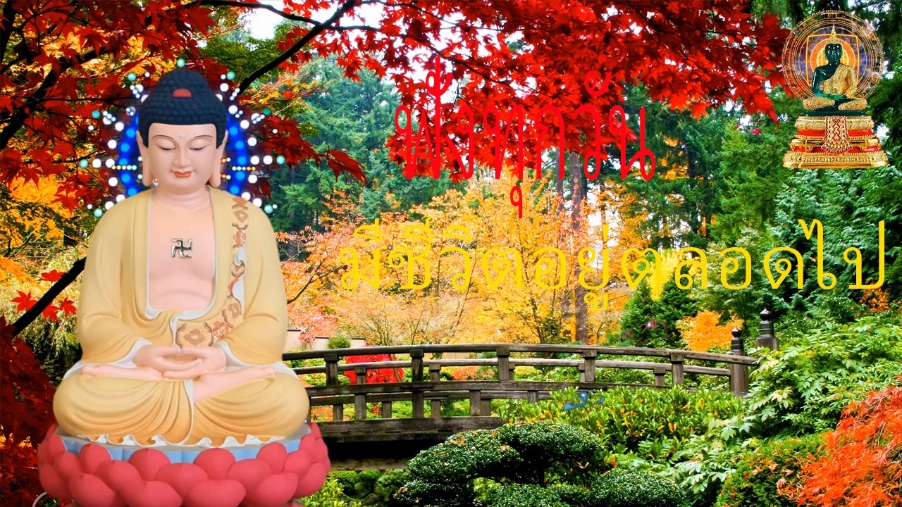 ฟังธรรมะก่อนนอน ใครชอบนอนฟังธรรมะแล้วหลับ จะเกิดอานิสงส์ใหญ่ได้บุญมาก P1371 | พระพุทธรูปสี