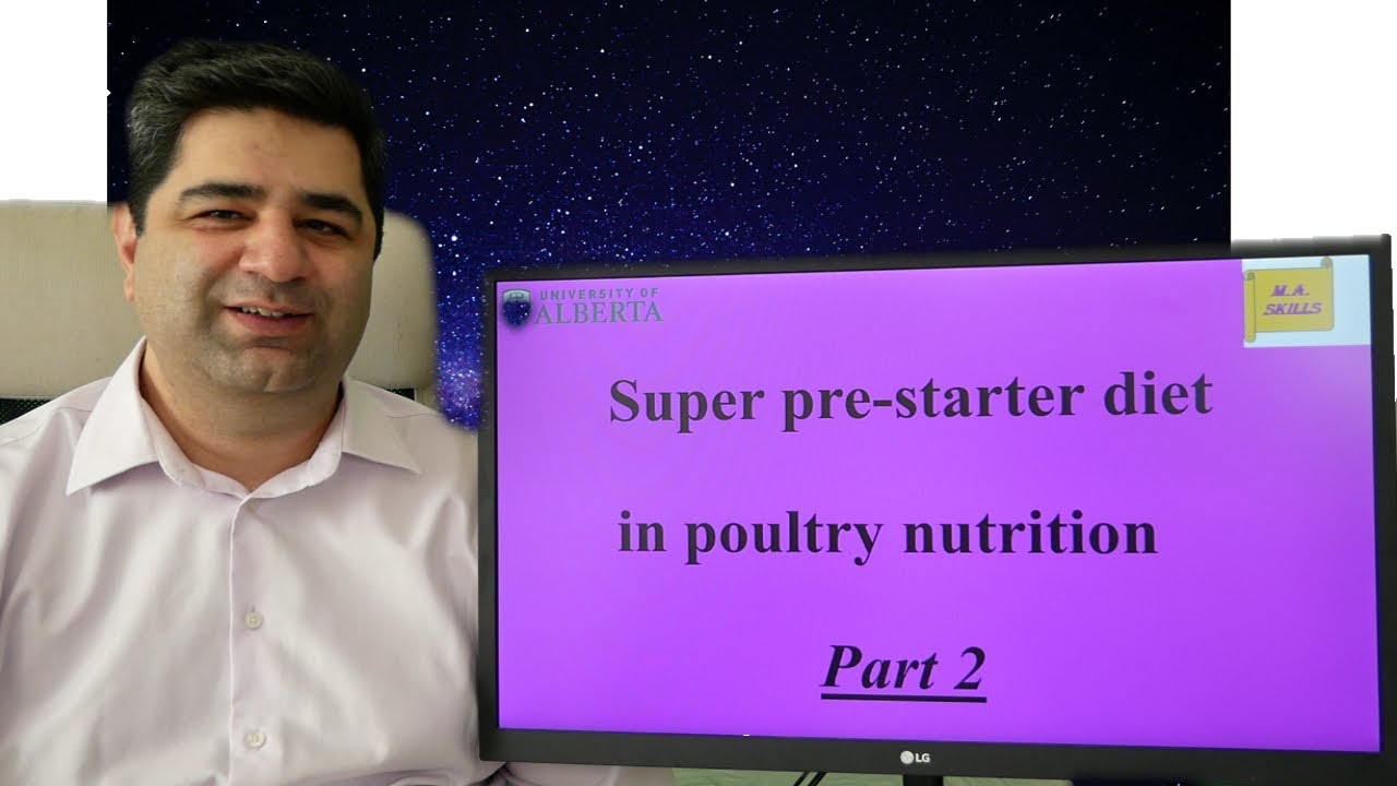 Super pre-starter diet in poultry nutrition Part 2