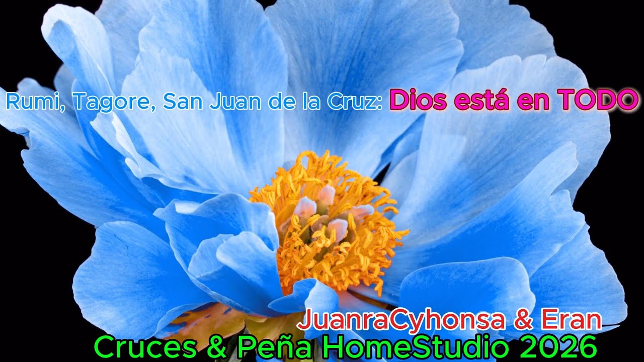 Tu eres en TODO & en TODOS