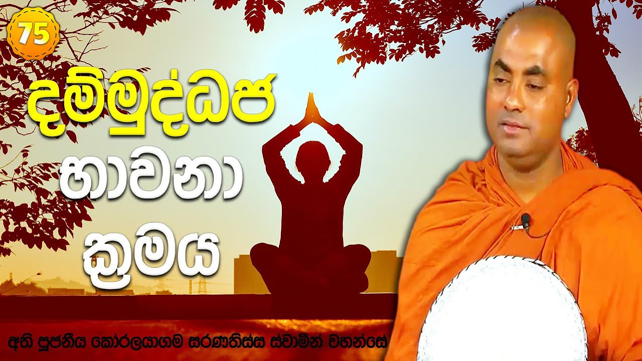 උත්සහ කරලා කරලා උත්සාහය බලවත් කරලා, මට අවශ්‍ය තැනට පැමිණීමේ ක්‍රමය | සතිපට්ඨාන ධර්ම දේශනා (𝟕𝟓)