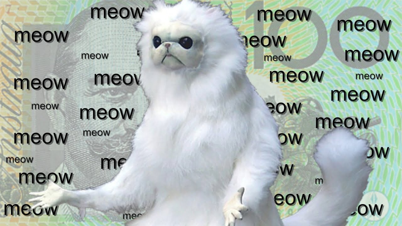 TOP 20 MEOWS | BEST MEOW WINS $100