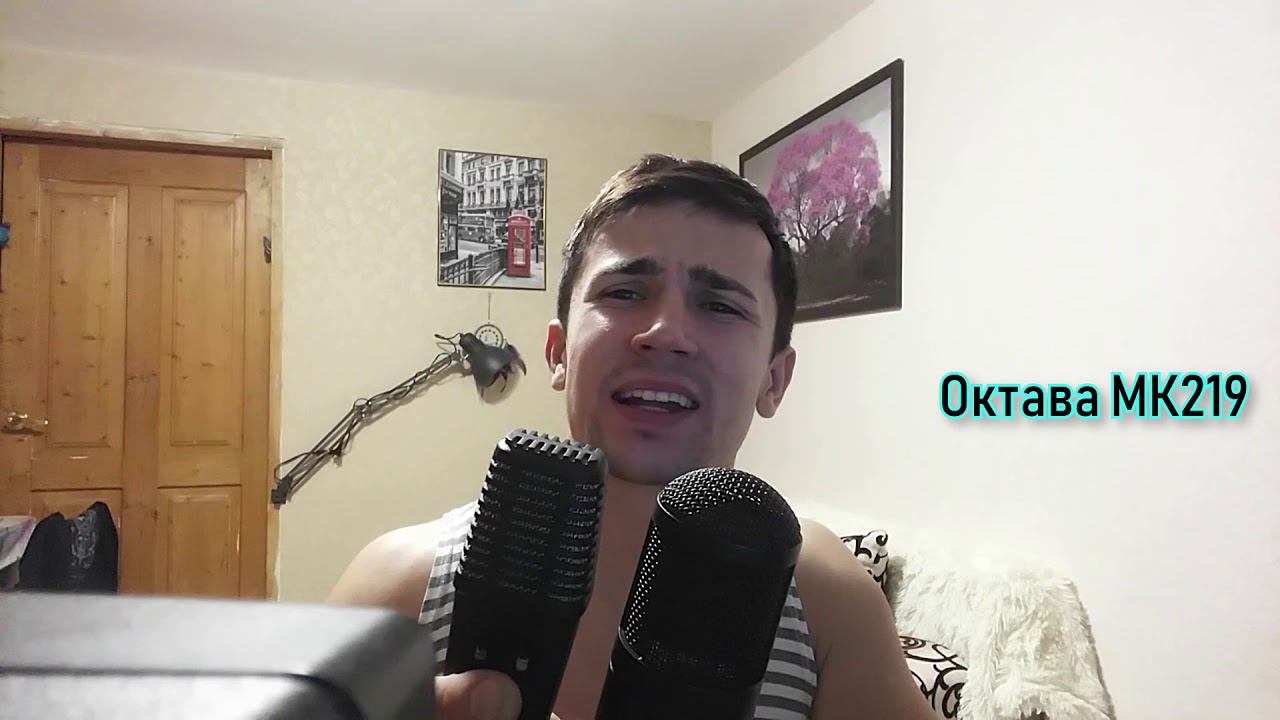 Тест микрофонов с одинаковым капсюлем - Октава МК219 и МК220