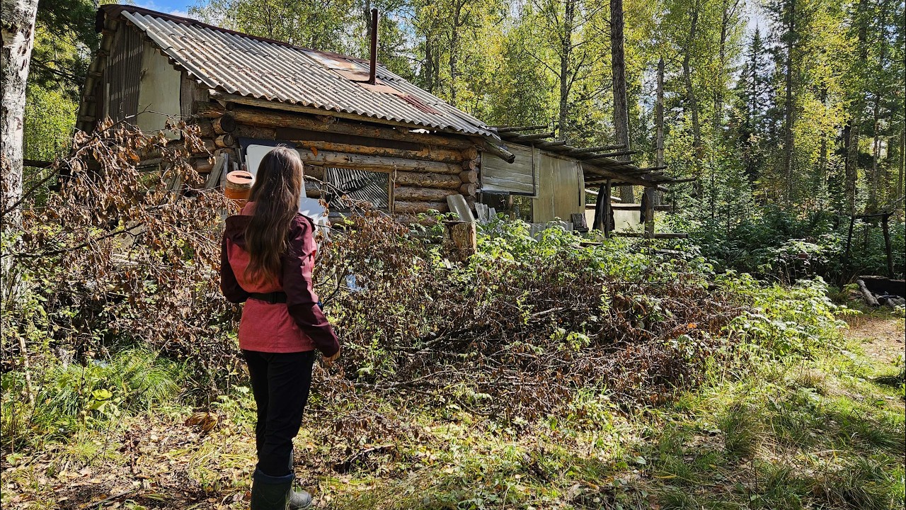 ИЗБУ-ЗЕМЛЯНКУ ЗАТОПИЛО. МЕДВЕДЬ ВЫШЕЛ НАВСТРЕЧУ. НОЧЬ в ДРУГОЙ ИЗБЕ.