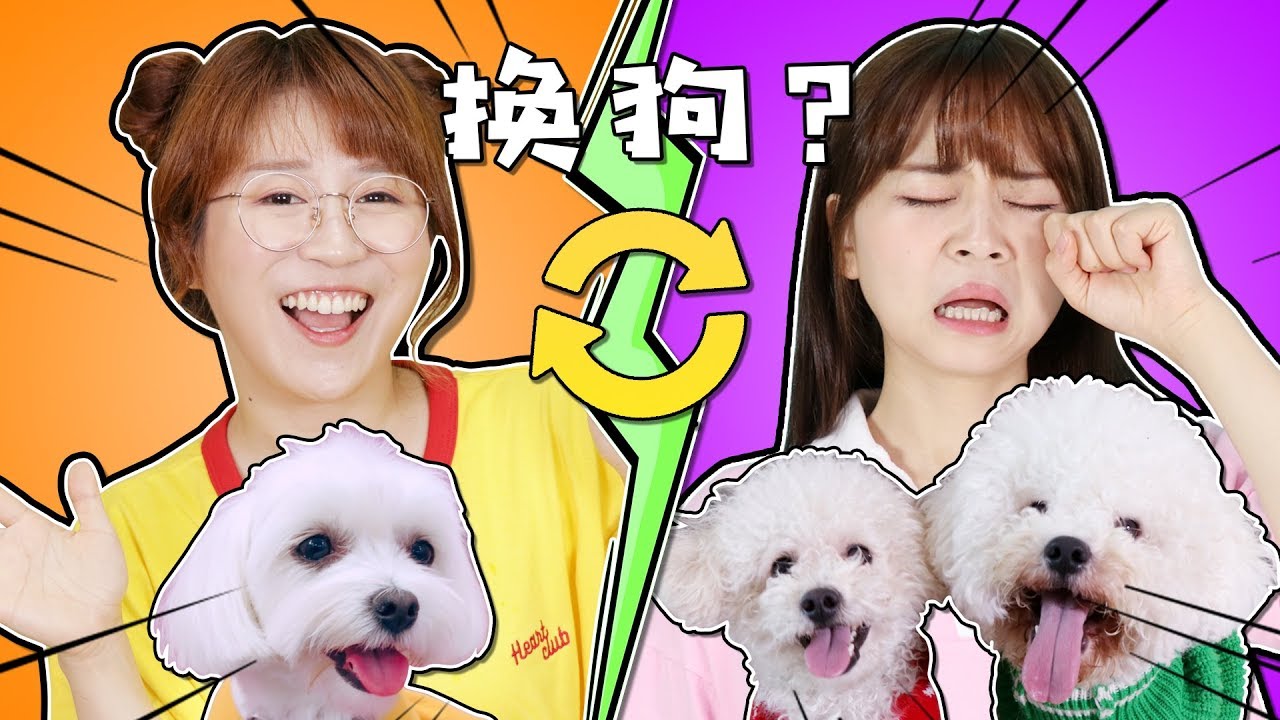 狗狗寵物交換賽！假如小伶和夏天換狗會發生什麽呢？小伶玩具 | Xiaoling toys