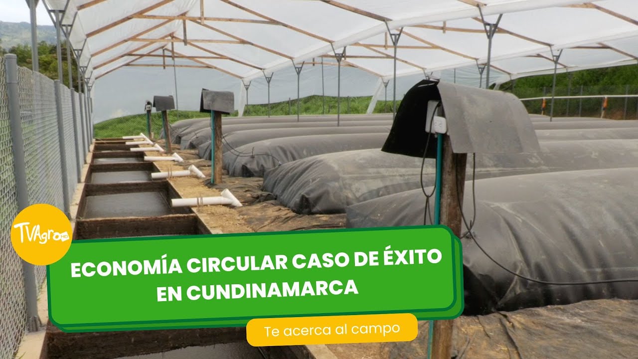 Economía circular: caso de éxito en cundinamarca - TvAgro por Juan Gonzalo Angel Restrepo