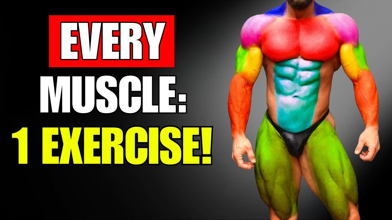 6 Powerful Exercises That WORK EVERY MUSCLE in JUST ONE MOVE!