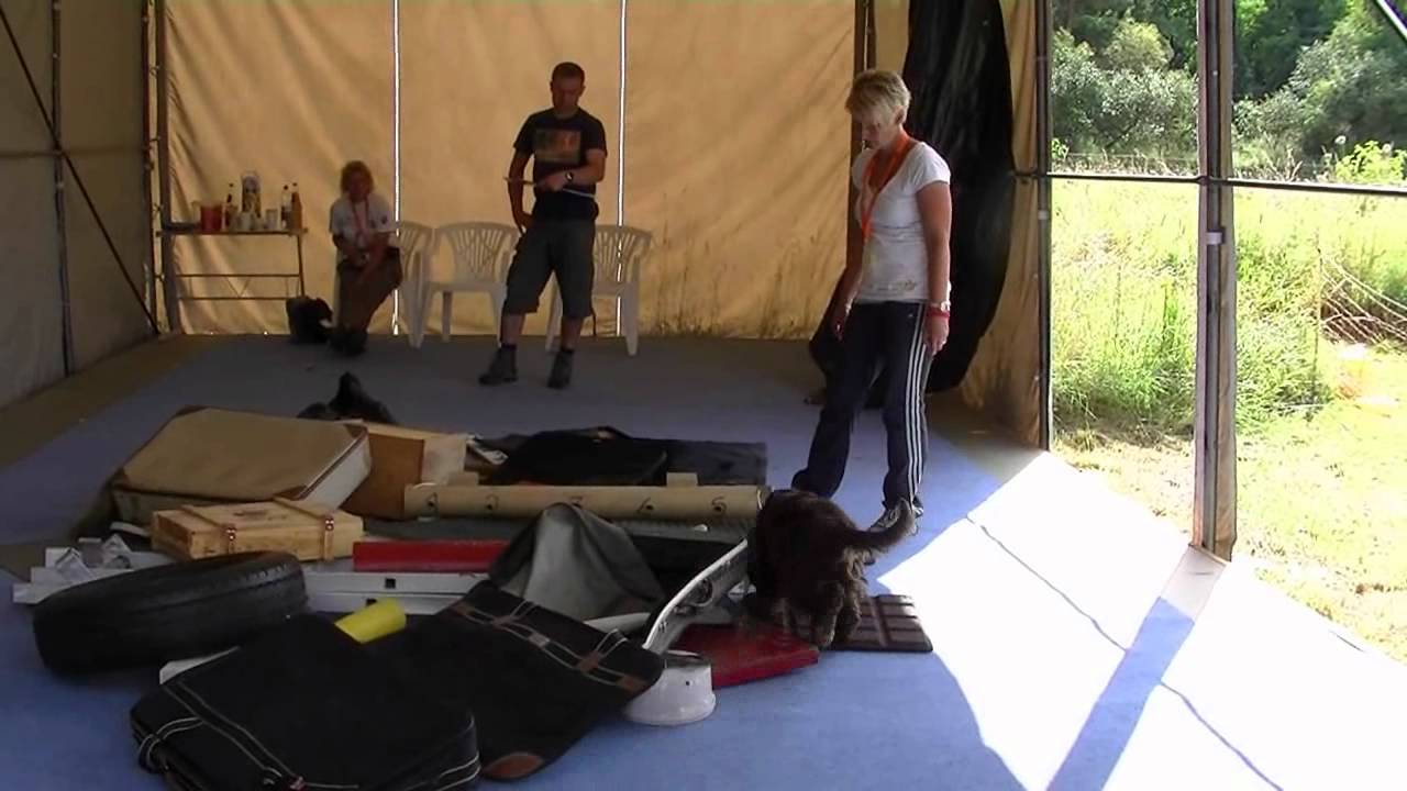 internationale ZOS-Meisterschaft 2012 - Kerstin und Hanuta