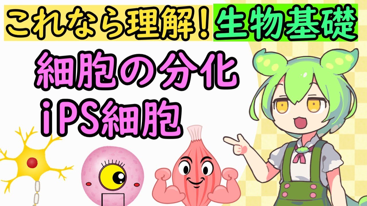 【生物基礎】細胞の分化とiPS細胞　めたもる高校生物