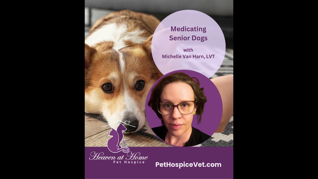 Medicating Senior Dogs with Michelle Van Harn, LVT