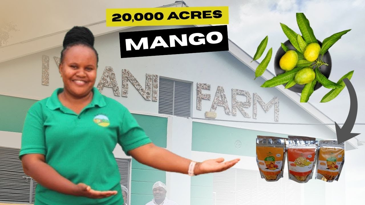 How Exporting Fruits Made her a Millionaire in Kenya