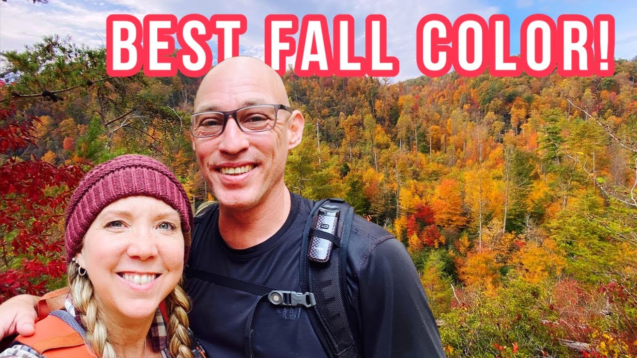 🍁 Hiking to find the BEST FALL COLOR in Great Smoky Mountains