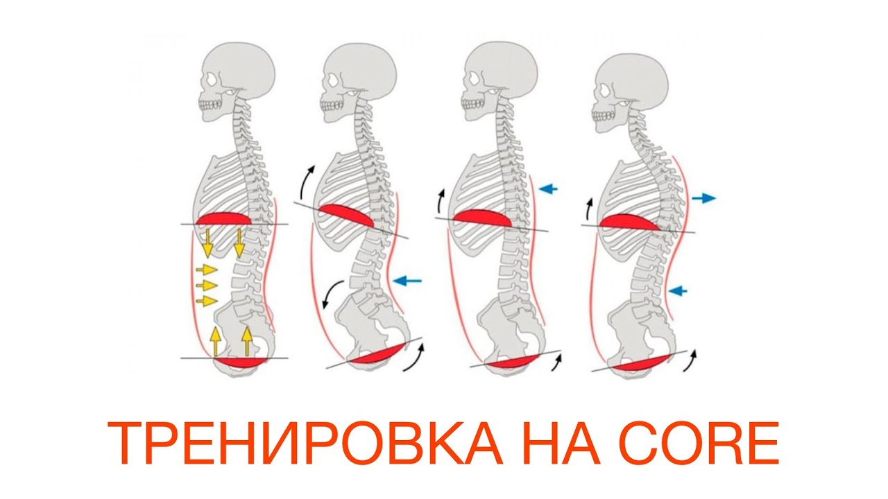 12 марта 2024 г.