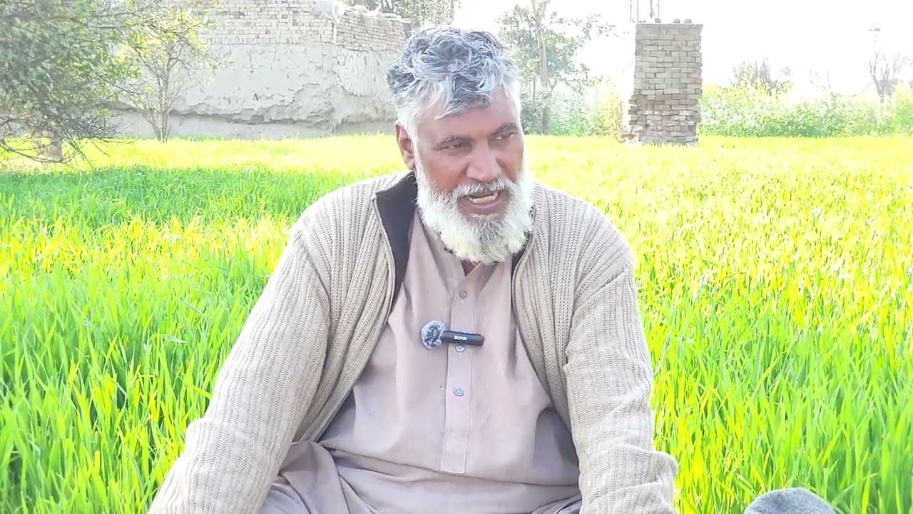بابا جی کالا تیتر گروپ نیو معلومات نئے شکاریوں کے لیے