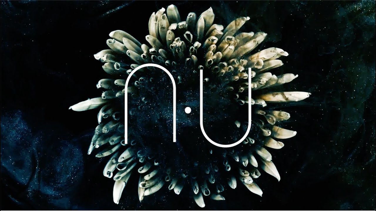 n.u - Samsara